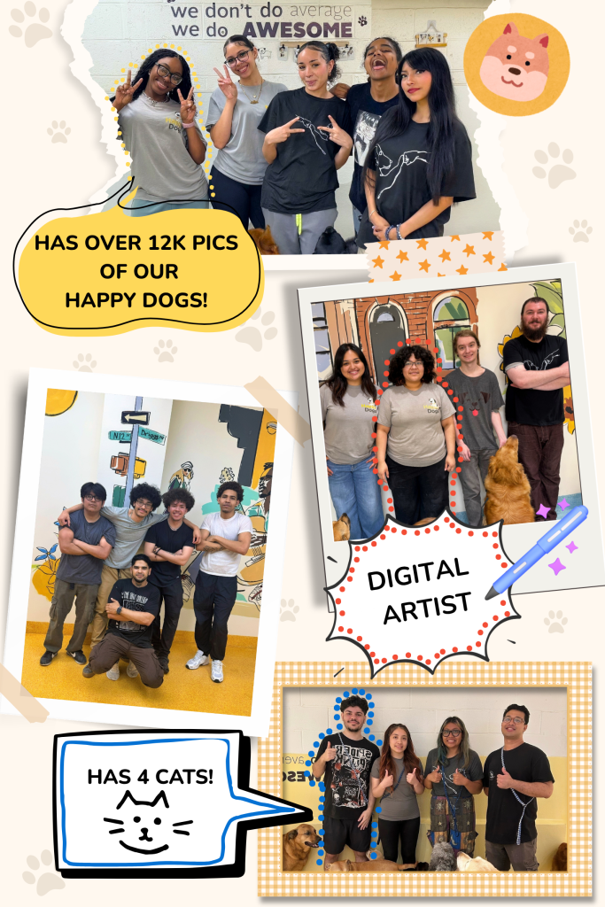 A collage of four group photos of our staff, some of them with dogs, under a wall sign that reads “we don’t do average, we do AWESOME”. Its captions read “Has over 12K pics of our Happy Dogs!”, “Digital artist” and “Has 4 cats!”.
