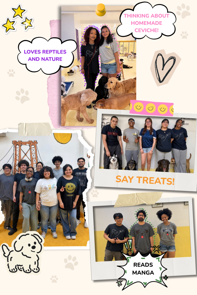 A collage of four group photos of our staff with the dogs in their care, one in front of a painted bridge. Its captions read “Loves reptiles and nature”, “Thinking about homemade ceviche!”, “Say treats!” and “Reads manga”.