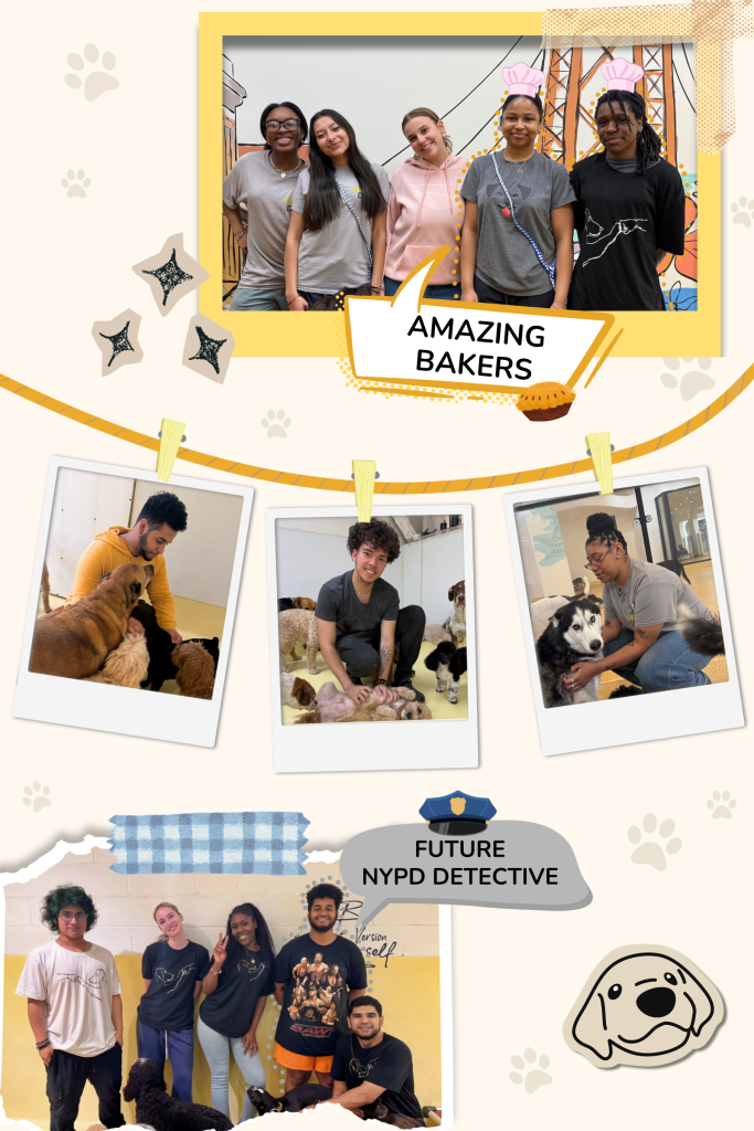 A collage of our staff: five in chef’s hats captioned “Amazing bakers”, three snapshots on a string of staff sitting with dogs, and a group photo captioned “Future NYPD detective”.